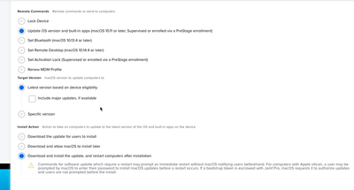 AJPinto_0-1672759486862.png
