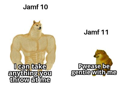 1000006635.jpg